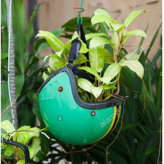 Helmet Planter.jpg