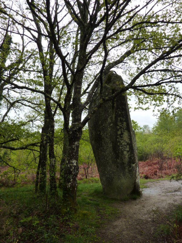 Menhir