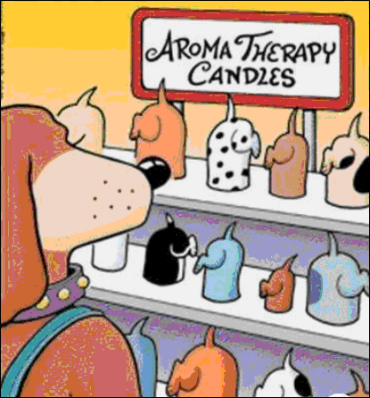Dog Candles.gif