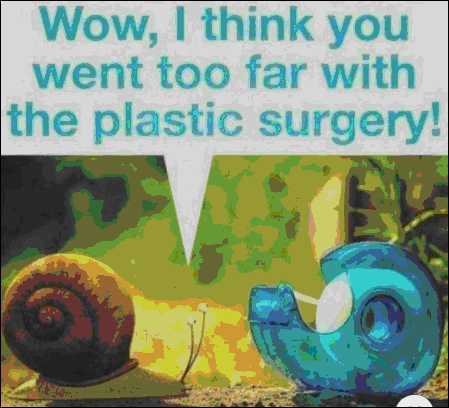 Snail Surgery.gif