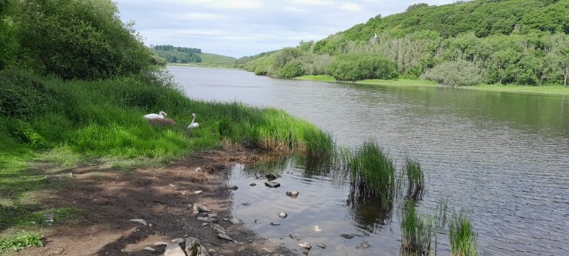 20240602_095648.jpg