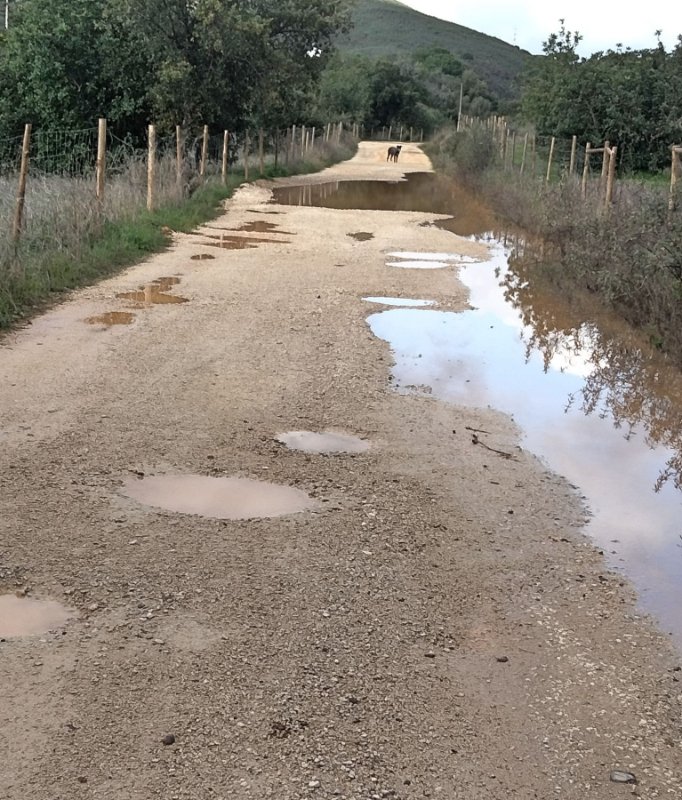 71 Gravel.jpg
