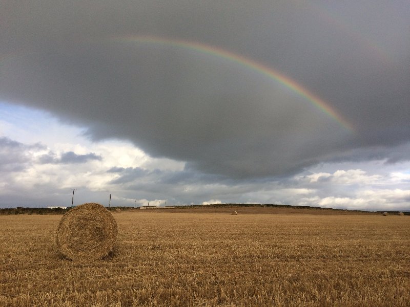 Rainbow Haybail.JPG