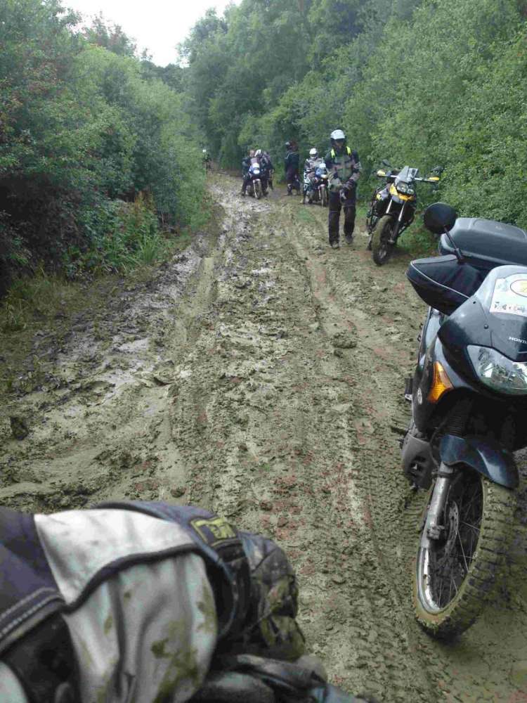 muddy2.jpg