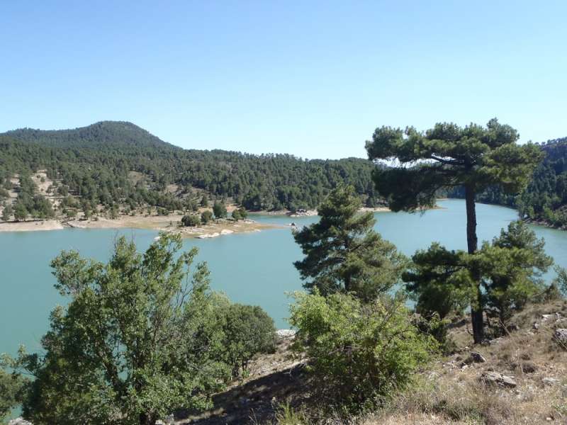 Fserrania2.jpg