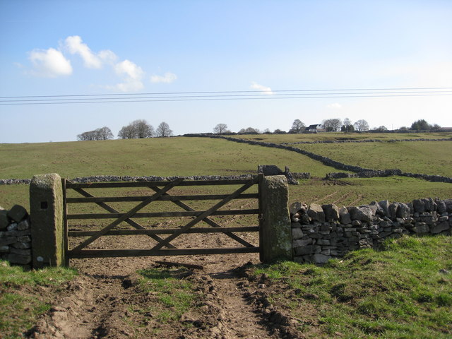 gate.jpg