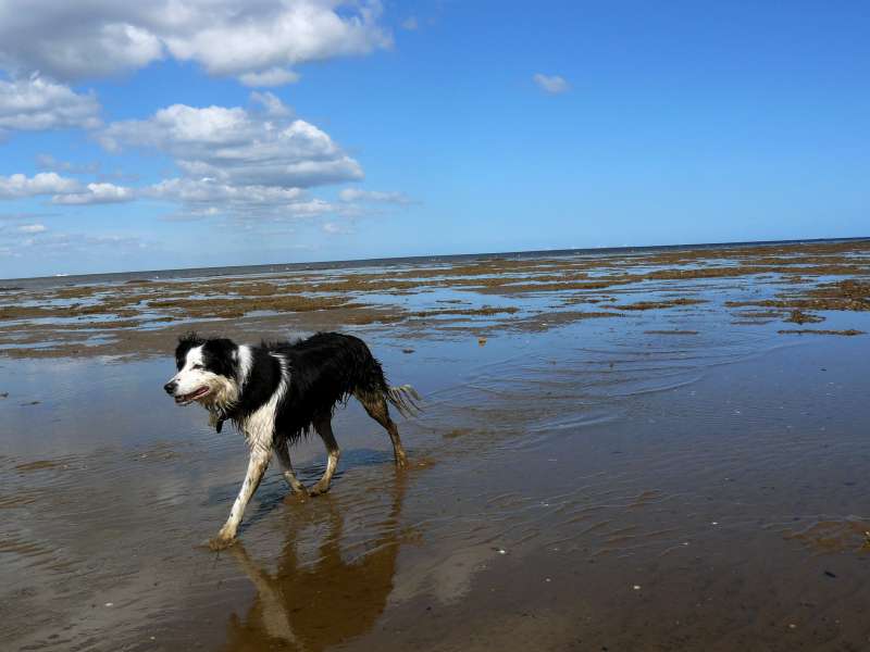 Hunstanton20125.JPG