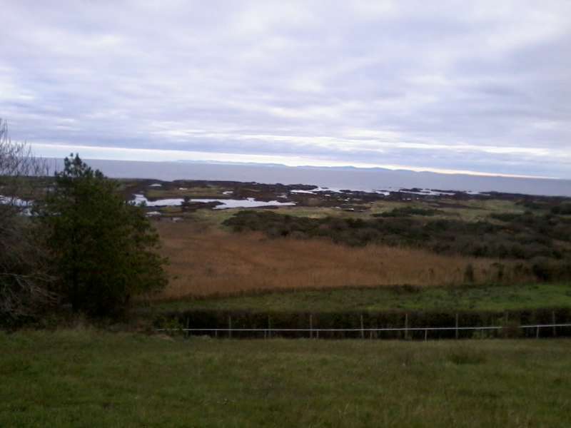 2013-11-2410.56.18.jpg
