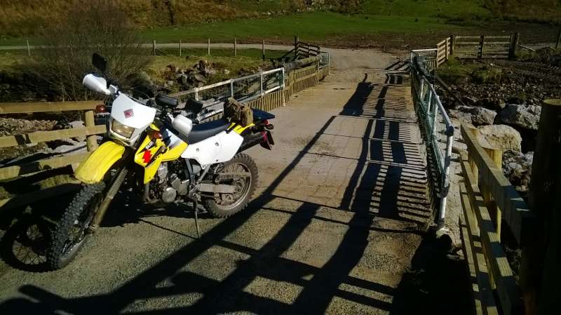 WP_20140311_007.jpg