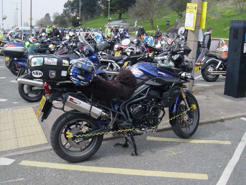 southendshakedown6-4-20159.JPG