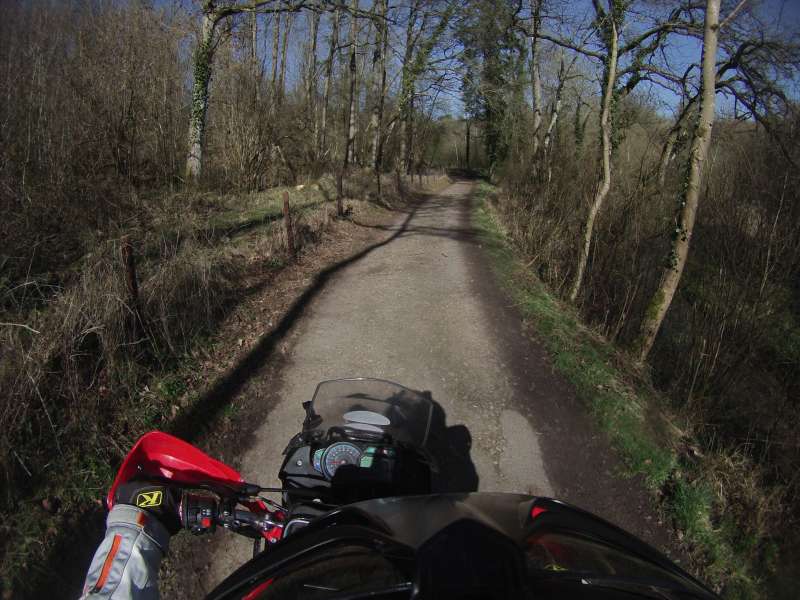 G0185089.JPG