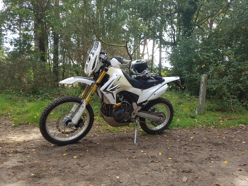 CRF500L.png