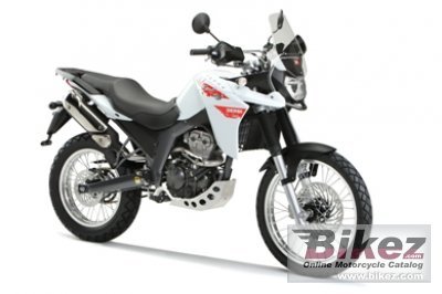terra adventure 125.jpg