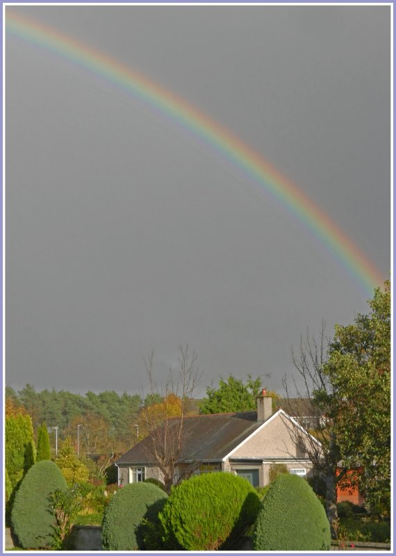 Rainbow 311020.jpg